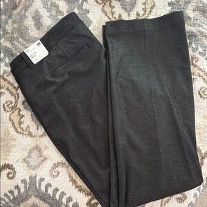 Express Editor Barely Boot low rise Pants